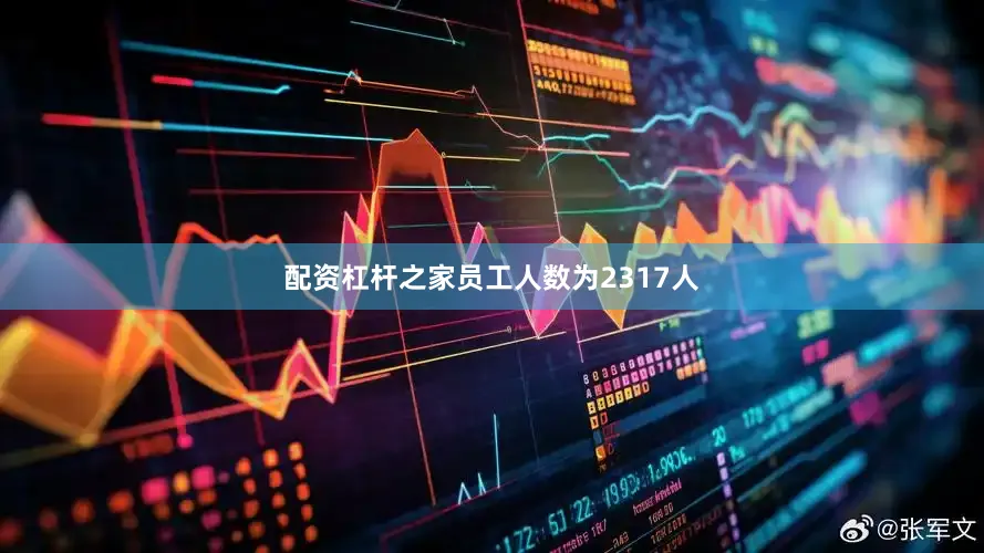 配资杠杆之家员工人数为2317人