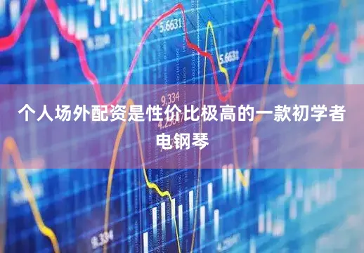 个人场外配资是性价比极高的一款初学者电钢琴