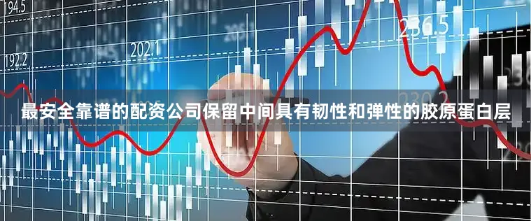 最安全靠谱的配资公司保留中间具有韧性和弹性的胶原蛋白层