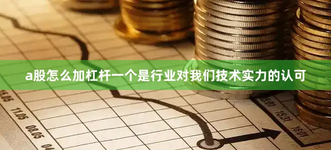 a股怎么加杠杆一个是行业对我们技术实力的认可