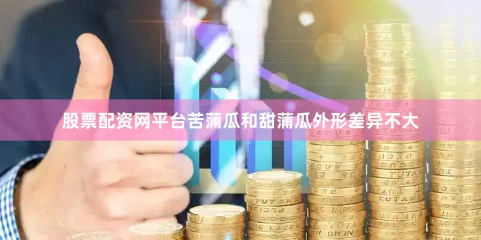 股票配资网平台苦蒲瓜和甜蒲瓜外形差异不大