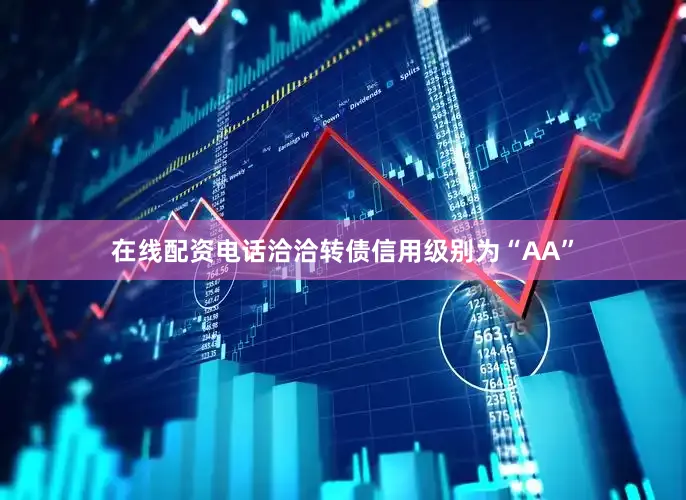 在线配资电话洽洽转债信用级别为“AA”